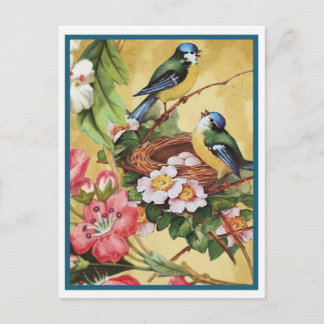 blauwvogel 7 briefkaart