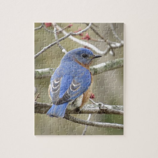 Blauwvogel achterzijde legpuzzel (Verticaal)