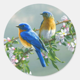 Blauwvogel. Amerikaans-Oosterse Blauwvogel Sialia  Ronde Sticker