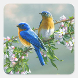 Blauwvogel. Amerikaans-Oosterse Blauwvogel Sialia Vierkante Sticker