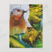 Blauwvogel Bos Kaart Collage (Voorkant)