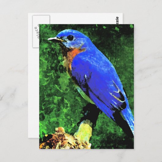 Blauwvogel Briefkaart (Voorkant / Achterkant)