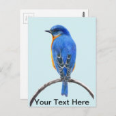 Blauwvogel Briefkaart (Voorkant / Achterkant)