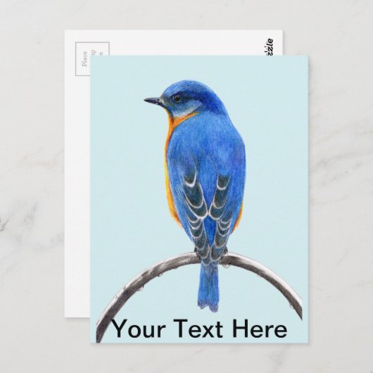 Blauwvogel Briefkaart (Voorkant / Achterkant)