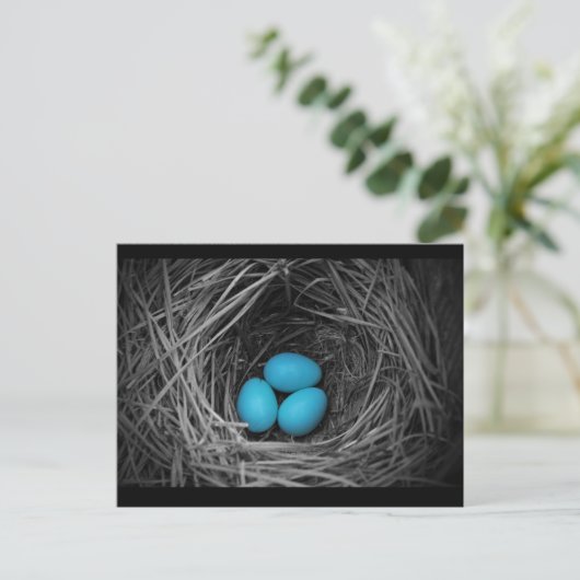 Blauwvogel Briefkaart (Staand voorkant)