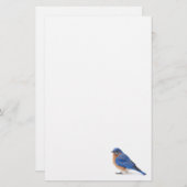 Blauwvogel Briefpapier (Voorkant / Achterkant)