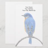 Blauwvogel Briefpapier (Voorkant / Achterkant)