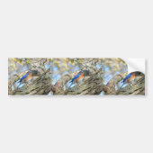 Blauwvogel Bumpersticker (Voorkant)