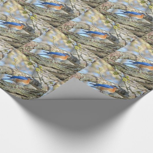 Blauwvogel Cadeaupapier (Hoek)