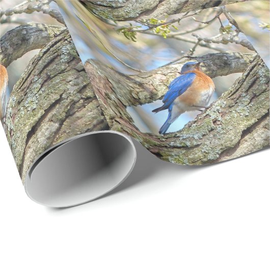 Blauwvogel Cadeaupapier (Rol Hoek)