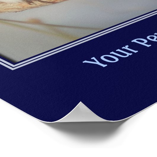 Blauwvogel Creëer Uw eigen offerte Poster (Hoek)