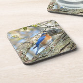 Blauwvogel Drankjes Onderzetter (Linkerzijde)