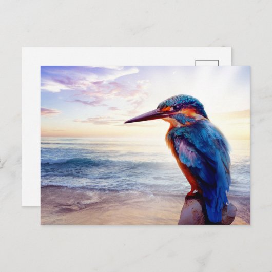 Blauwvogel Exotic Sunset Beach Briefkaart (Voorkant / Achterkant)