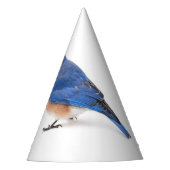 Blauwvogel Feesthoedjes (Voorkant)