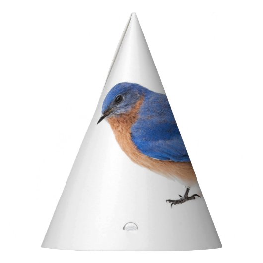 Blauwvogel Feesthoedjes (Links)