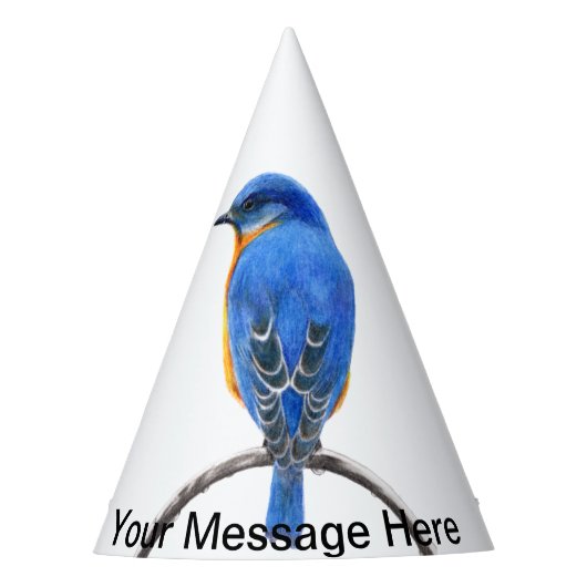 Blauwvogel Feesthoedjes (Voorkant)