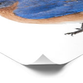 Blauwvogel Foto Afdruk (Hoek)