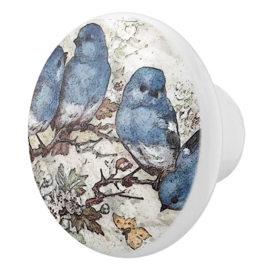  blauwvogel illustratie schattige vogelsoorten nat keramische knop (Rechts)