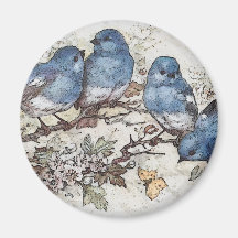 blauwvogel illustratie schattige vogelsoorten nat