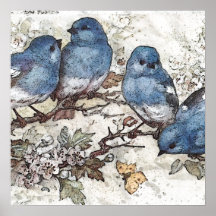 blauwvogel illustratie schattige vogelsoorten nat