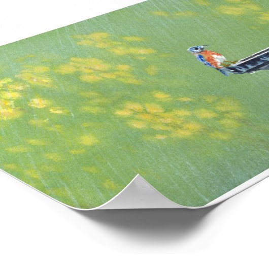 Blauwvogel in regen poster (Hoek)