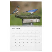 blauwvogel kalender (Mar 2026)