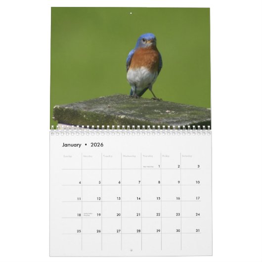 blauwvogel kalender (Jan 2026)
