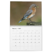 blauwvogel kalender (Feb 2027)