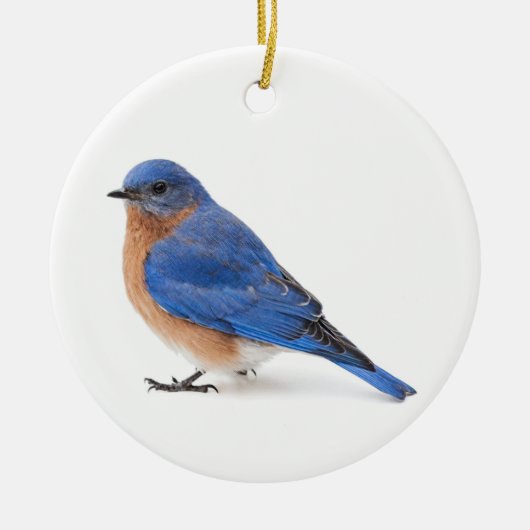 Blauwvogel Keramisch Ornament (Voorkant)