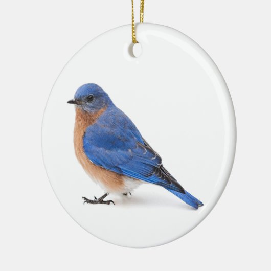 Blauwvogel Keramisch Ornament (Links)