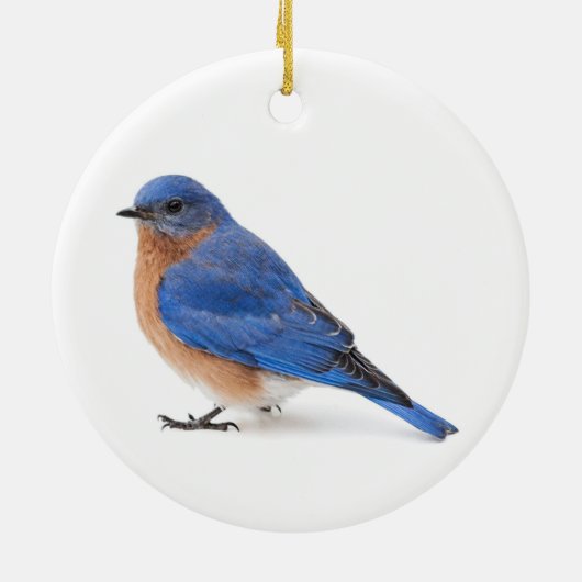 Blauwvogel Keramisch Ornament (Achterkant)
