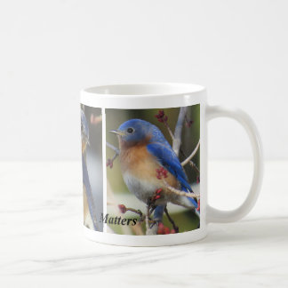 Blauwvogel Koffiemok