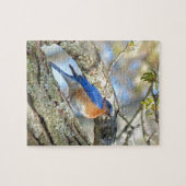 Blauwvogel Legpuzzel (Horizontaal)