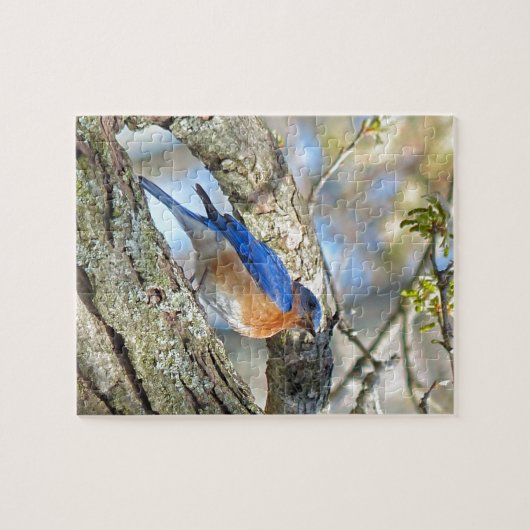 Blauwvogel Legpuzzel (Horizontaal)