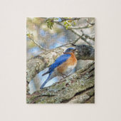 Blauwvogel Legpuzzel (Verticaal)