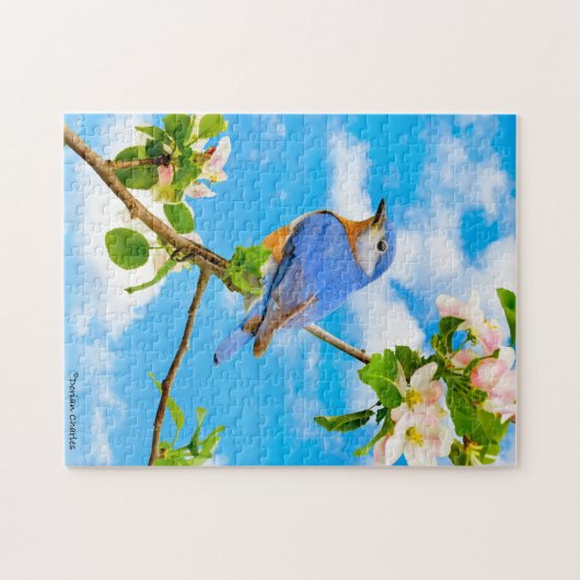 "Blauwvogel" Legpuzzel (Horizontaal)