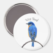 Blauwvogel Magneet (Voorkant / Achterkant)