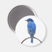 Blauwvogel Magneet (Voorkant / Achterkant)