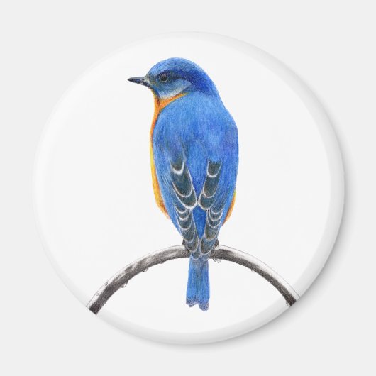 Blauwvogel Magneet (Voorkant)