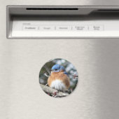 Blauwvogel Magneet (Insitu (Vaatwasser))