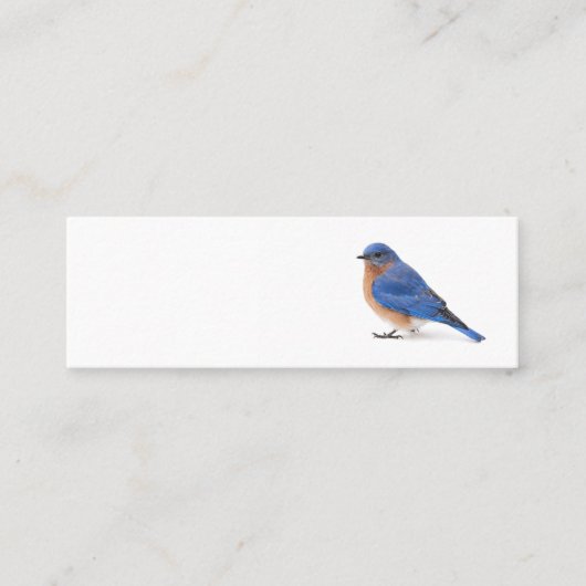 Blauwvogel Mini Visitekaartje (Voorkant)