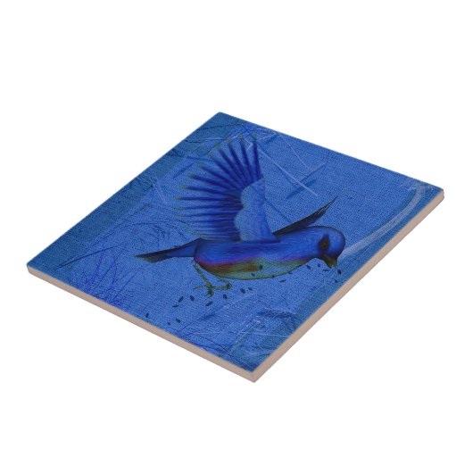 Blauwvogel Natuur Art Tile Tegeltje (Zijkant)