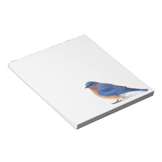 Blauwvogel Notitieblok (Schuin)