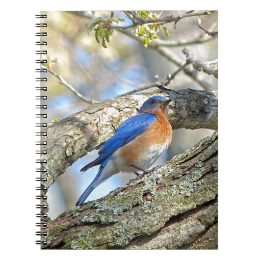 Blauwvogel Notitieboek (Voorkant)