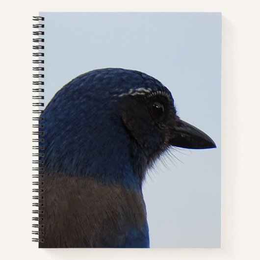 Blauwvogel Notitieboek (Voorkant)