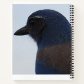 Blauwvogel Notitieboek (Achterkant)