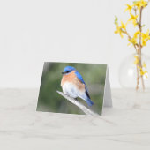 Blauwvogel op de schors binnenin kaart (Gele Bloem)