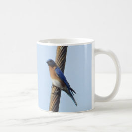 Blauwvogel op een Mok