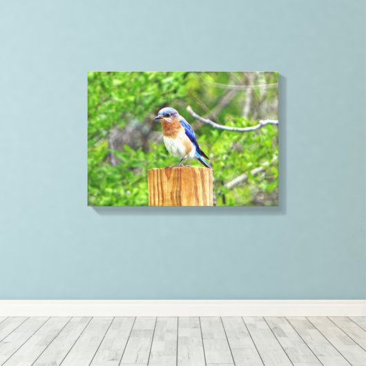 Blauwvogel op een omheining post canvas afdruk (Insitu (Houten vloer))