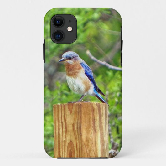 Blauwvogel op een omheining post Case-Mate iPhone case (Achterkant)